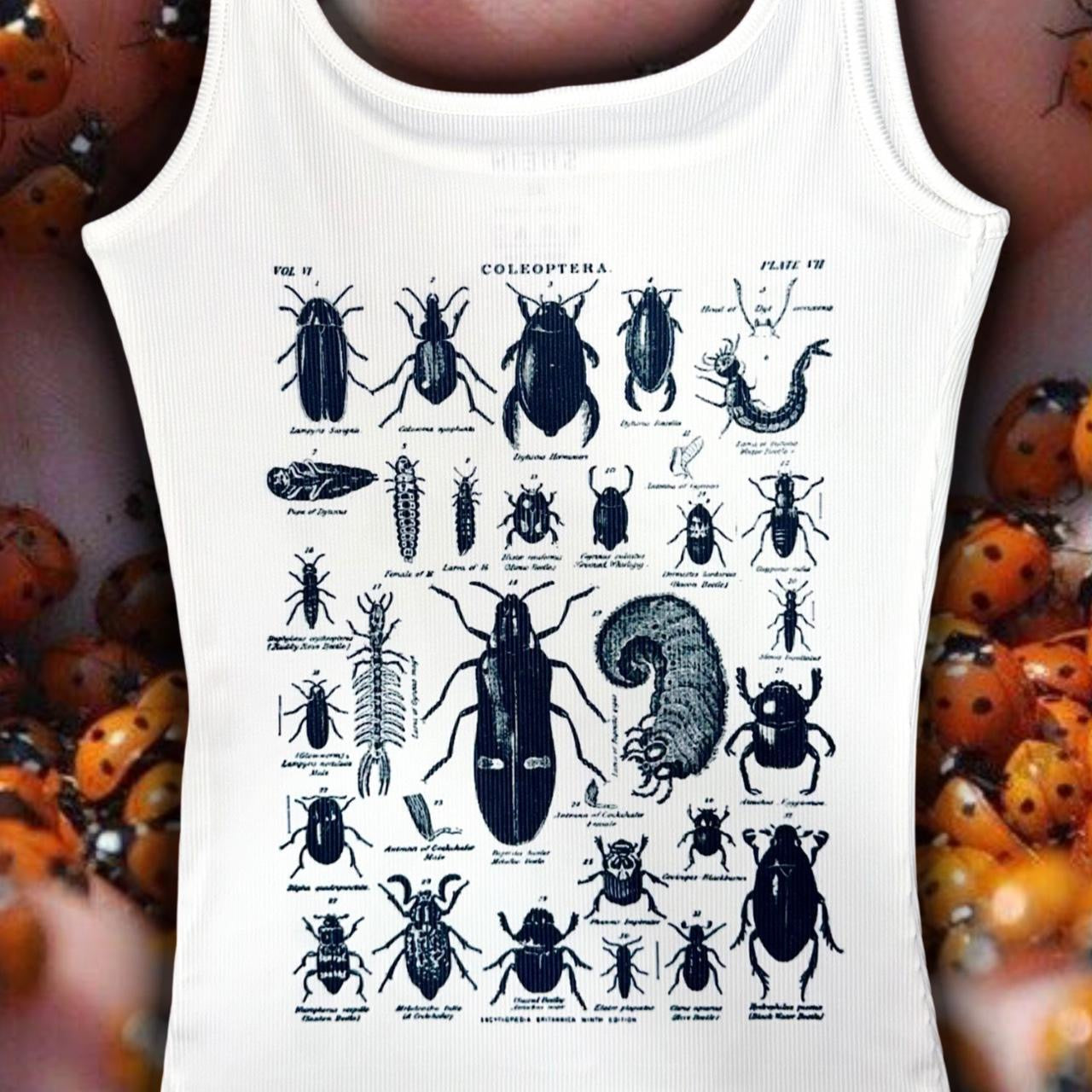 god's favorite bug eater