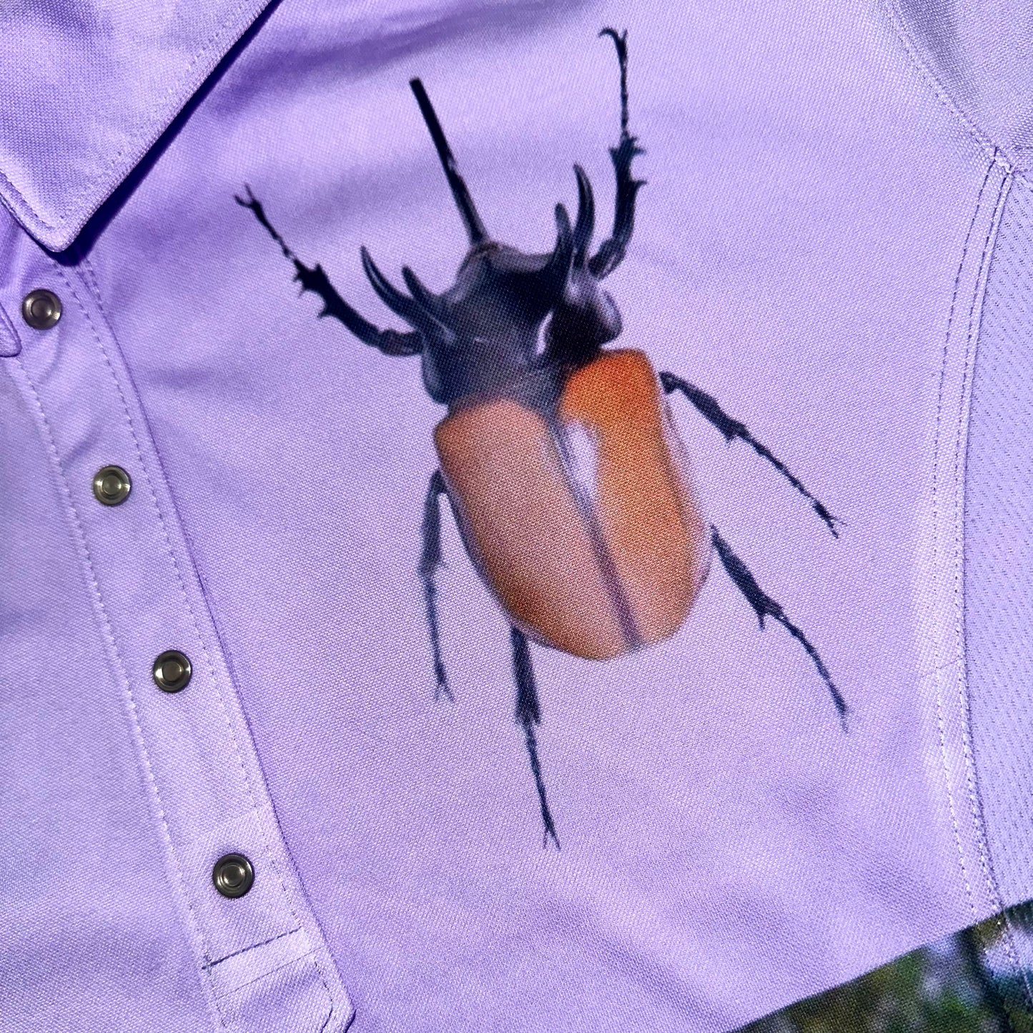 the creator has an inordinate fondness for beetles