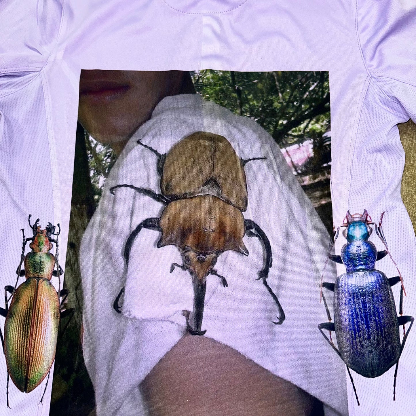 the creator has an inordinate fondness for beetles