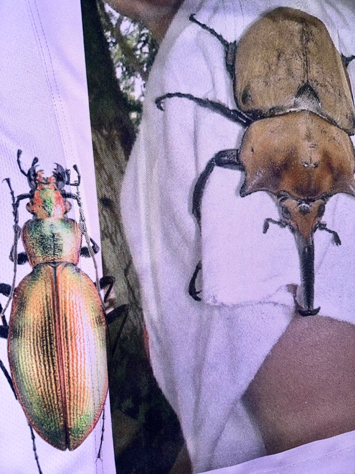 the creator has an inordinate fondness for beetles