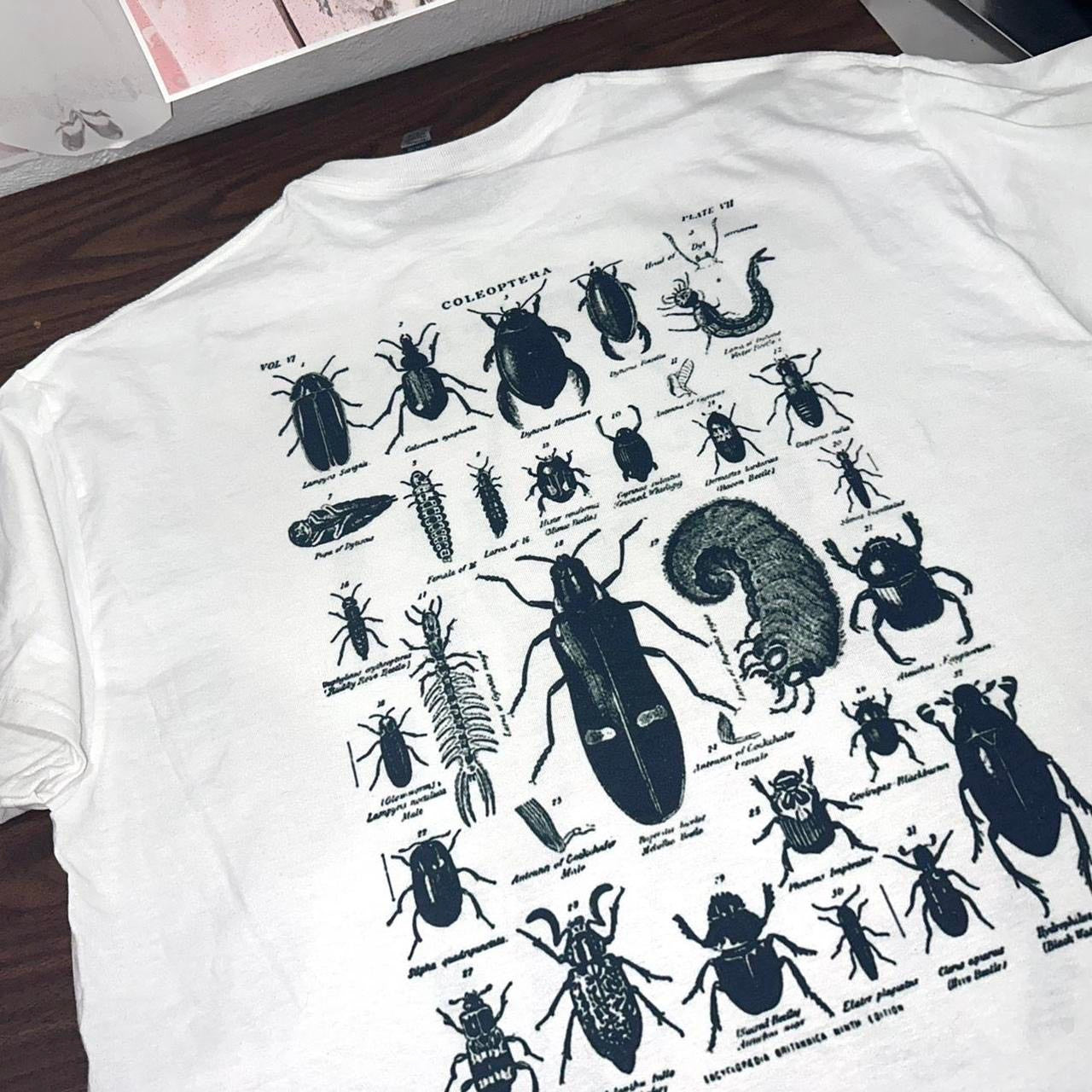 god's favorite bug eater