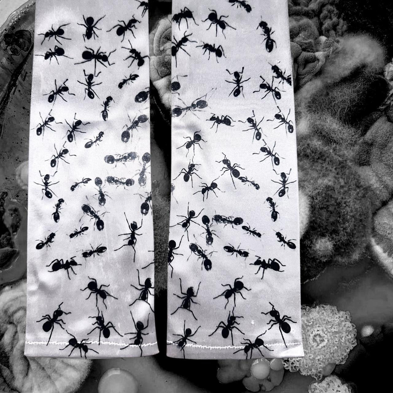 ant infestation gloves