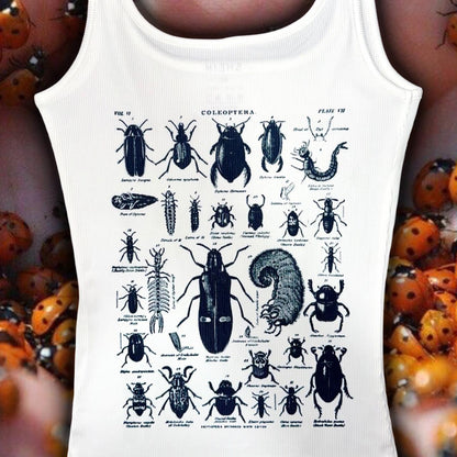 god's favorite bug eater